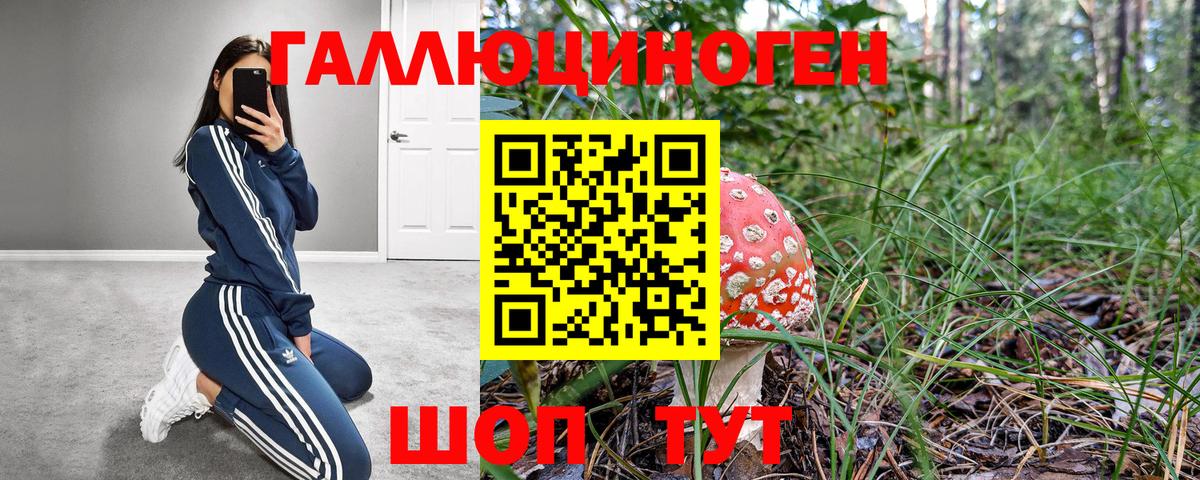 Балтийск  Псилоцибиновые грибы Psilocybine cubensis  Галлюциногенные грибы мицелий  Вход с VPN 