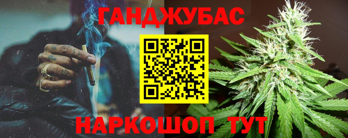 Каннабис сатива Балтийск